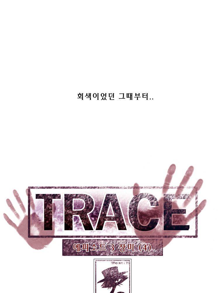트레이스 장미 4 3