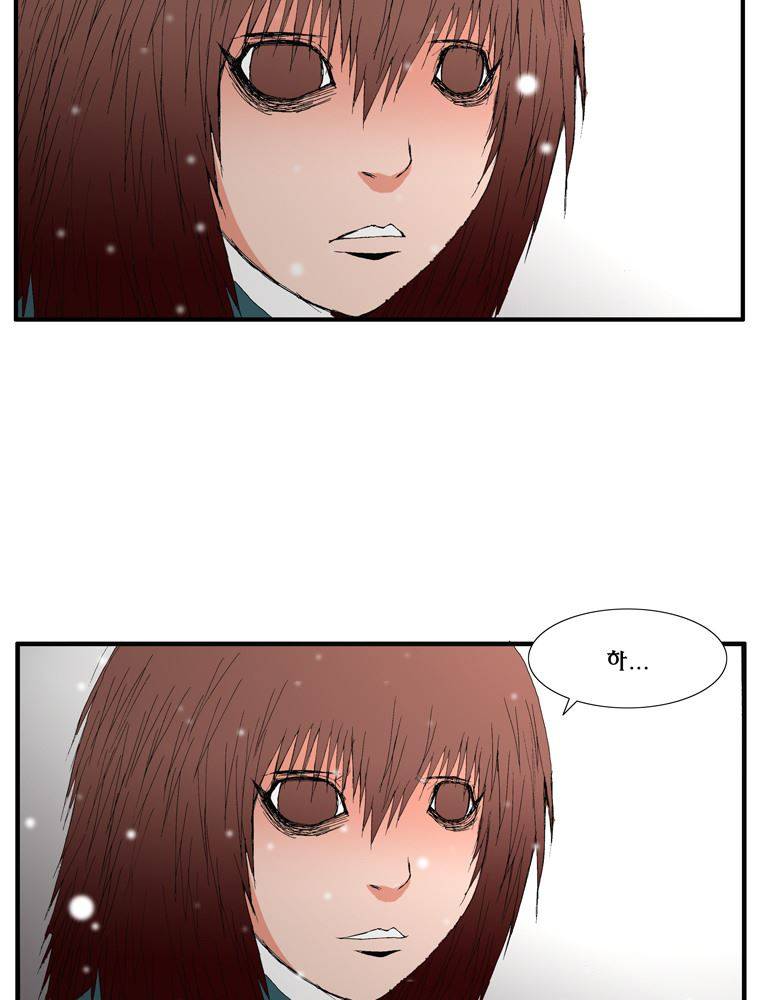 트레이스 장미 15 44