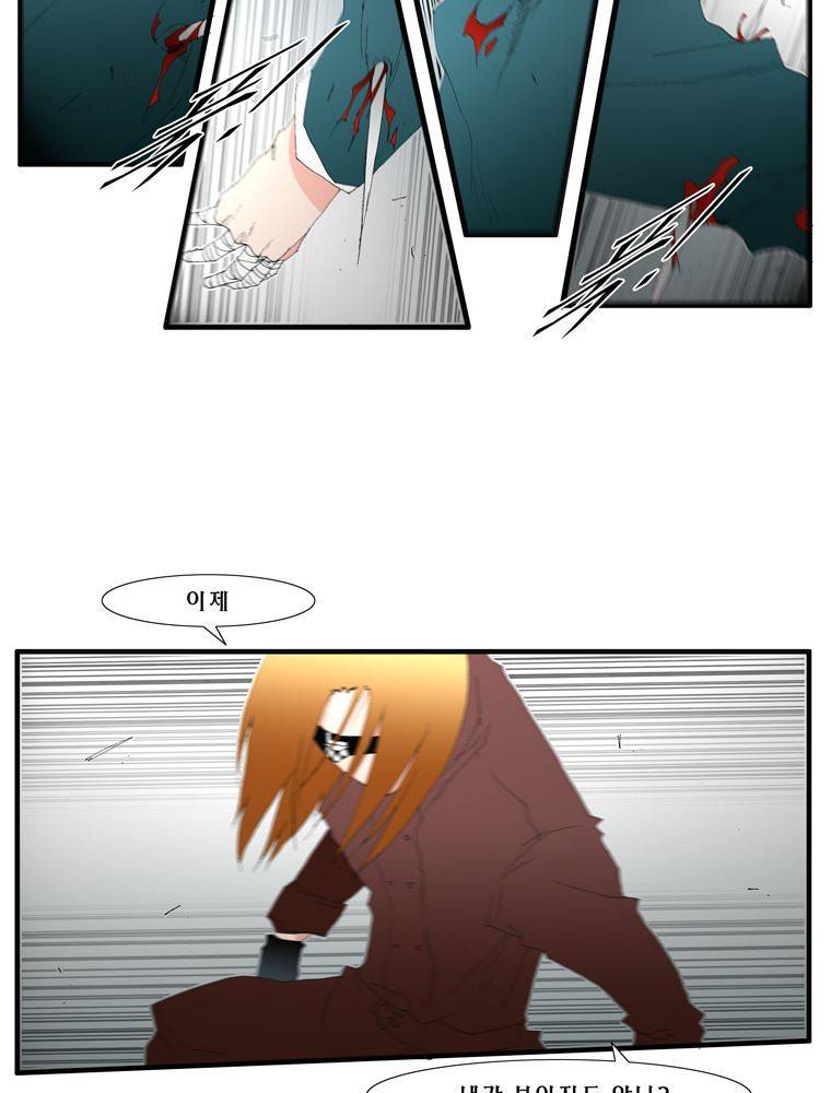 트레이스 장미 25 37