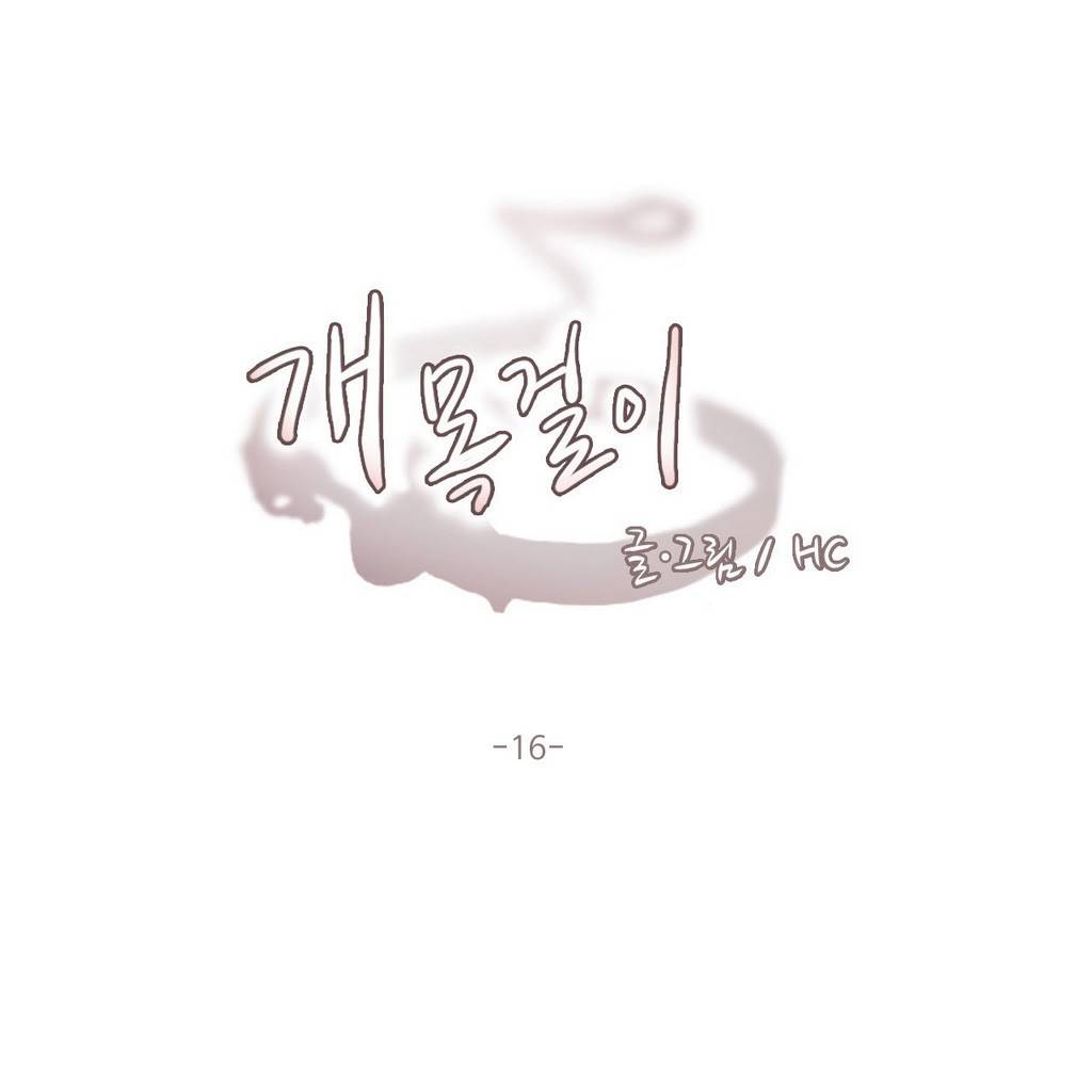 개목걸이 16화 1