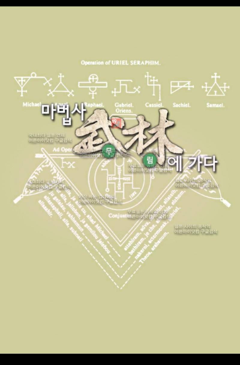 마법사 무림에 가다 36화 1