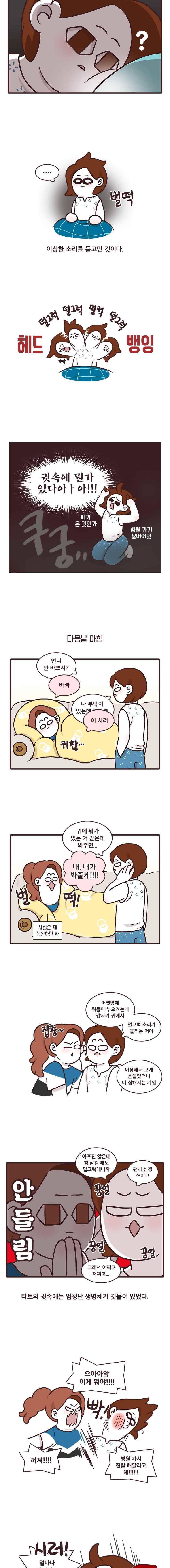 과격자매단 25. 소재 사냥꾼 2