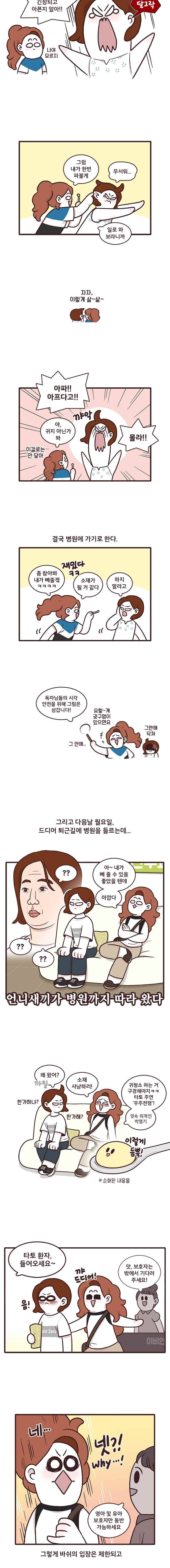 과격자매단 25. 소재 사냥꾼 3