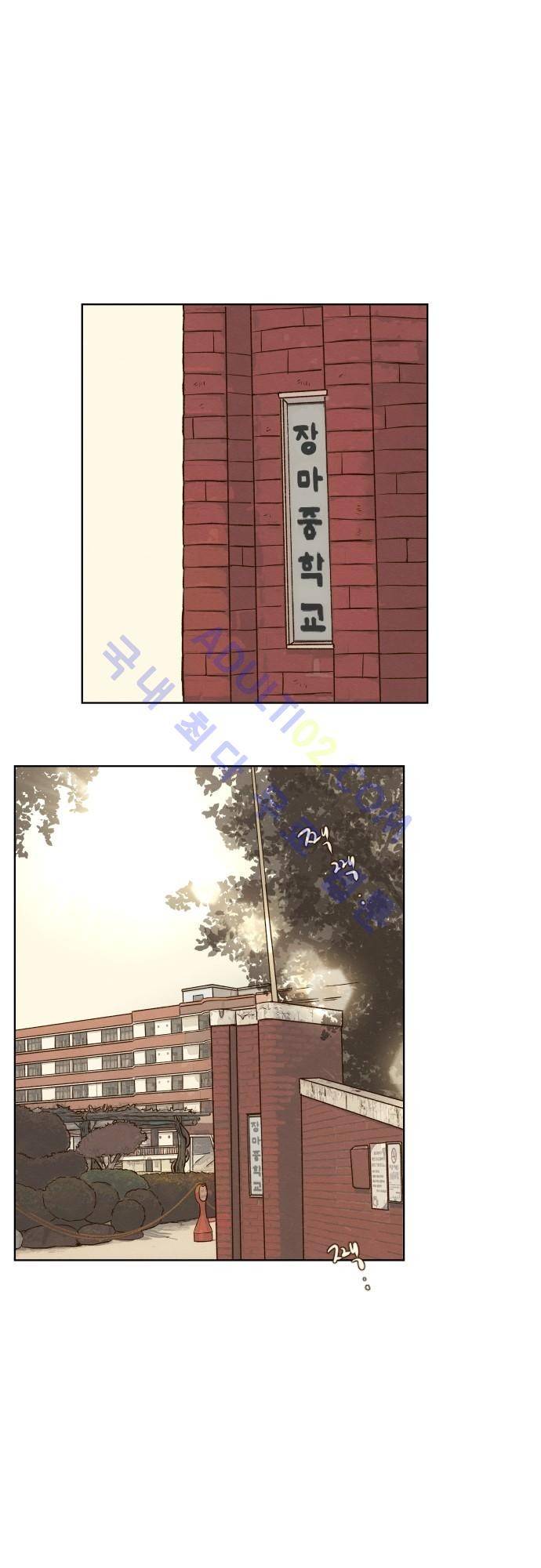 그 해 여름 74화 1