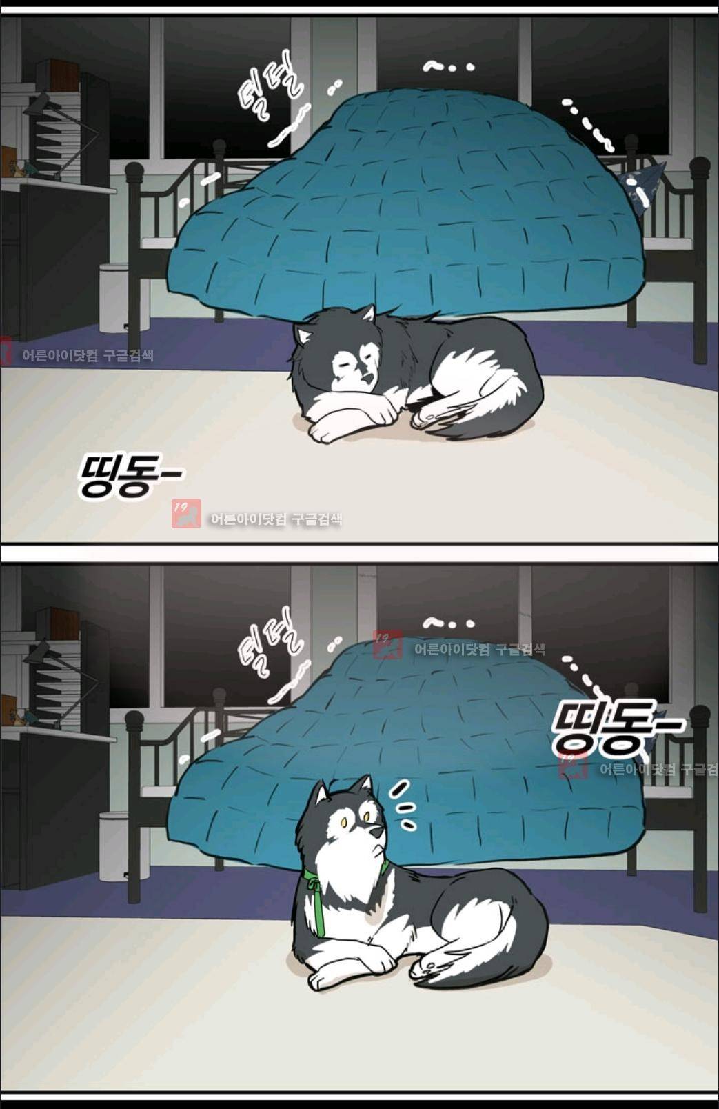 애니멀 아이즈 7화 8
