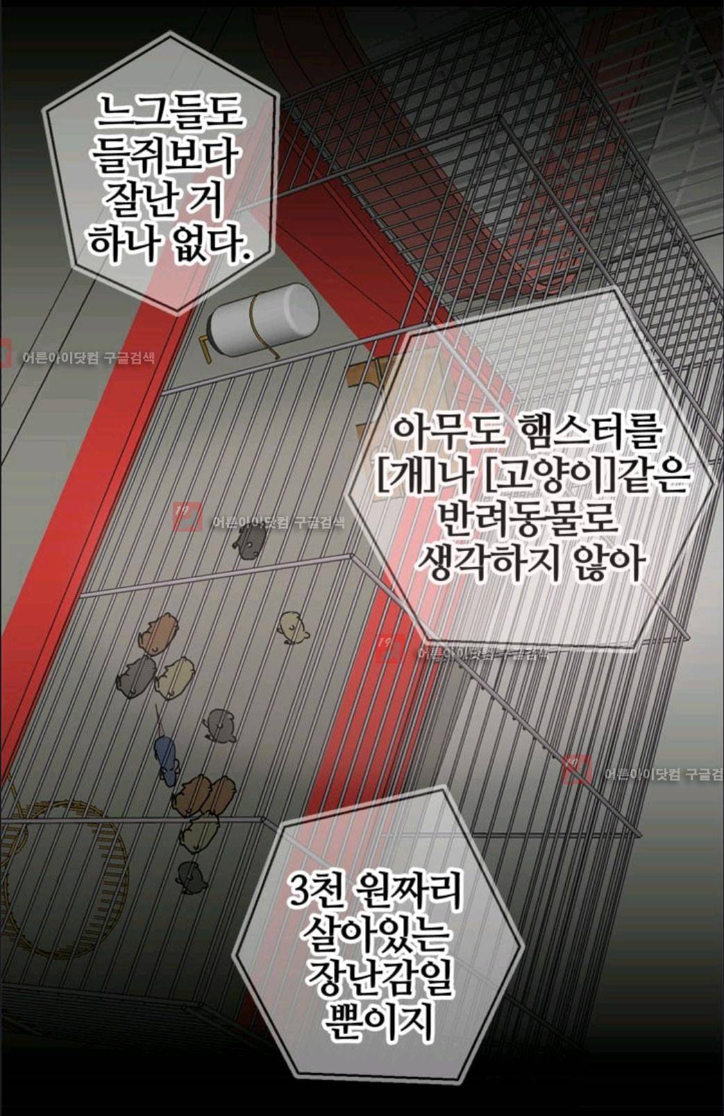 애니멀 아이즈 23화 8