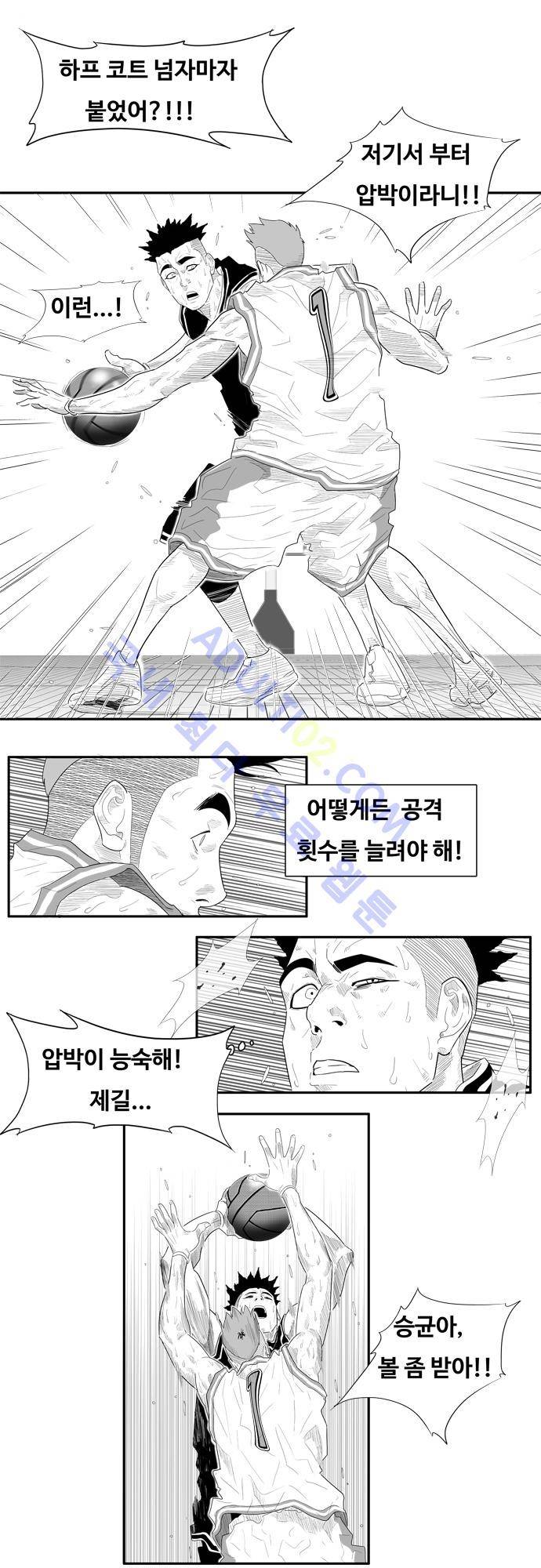 훕스(Hoops) 51화 17