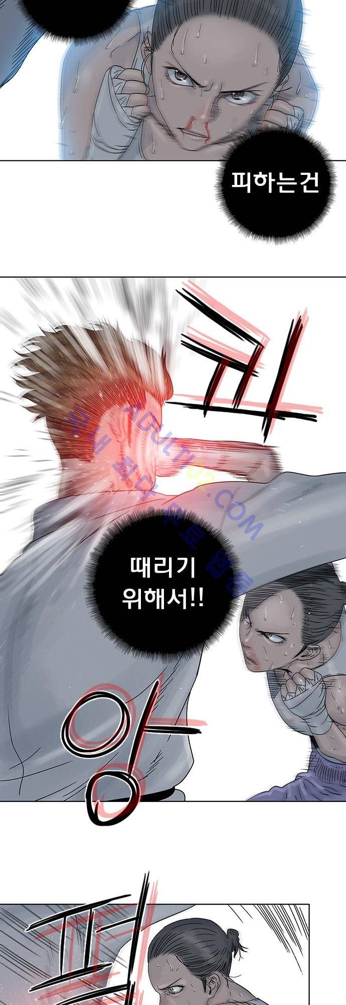 너클걸(Knuckle Girl) 71화 12