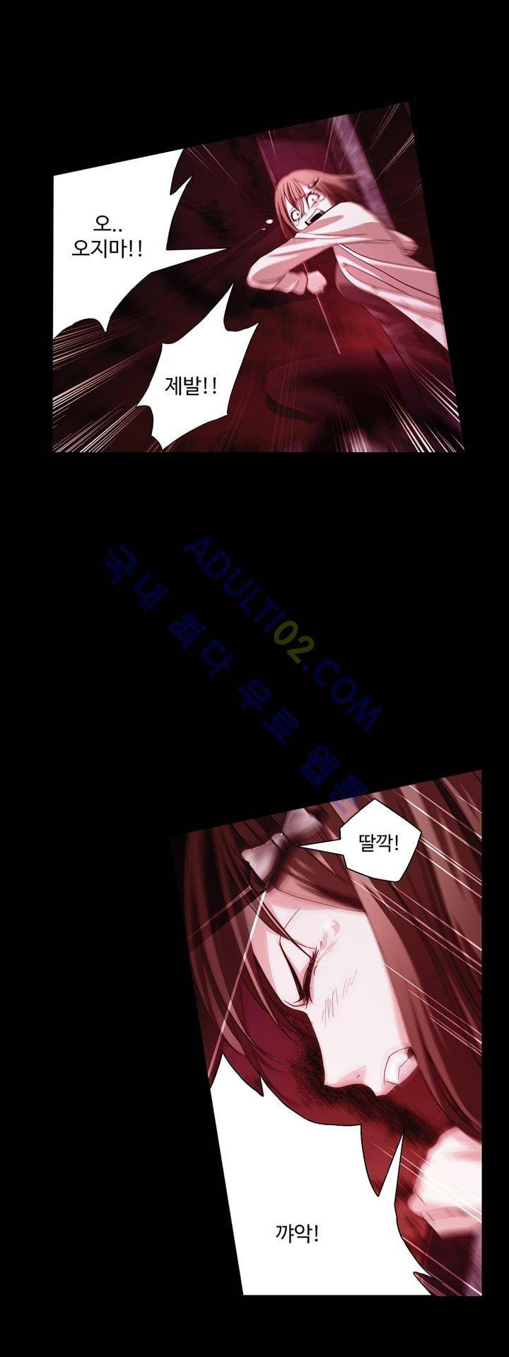 로스트 시티 6화 5