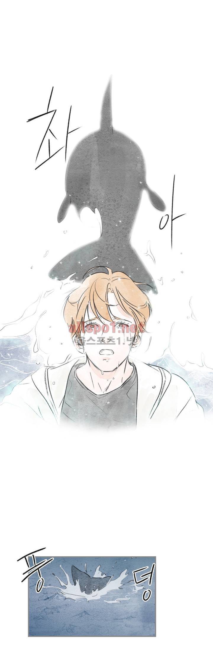 돌핀 요정 54화 20