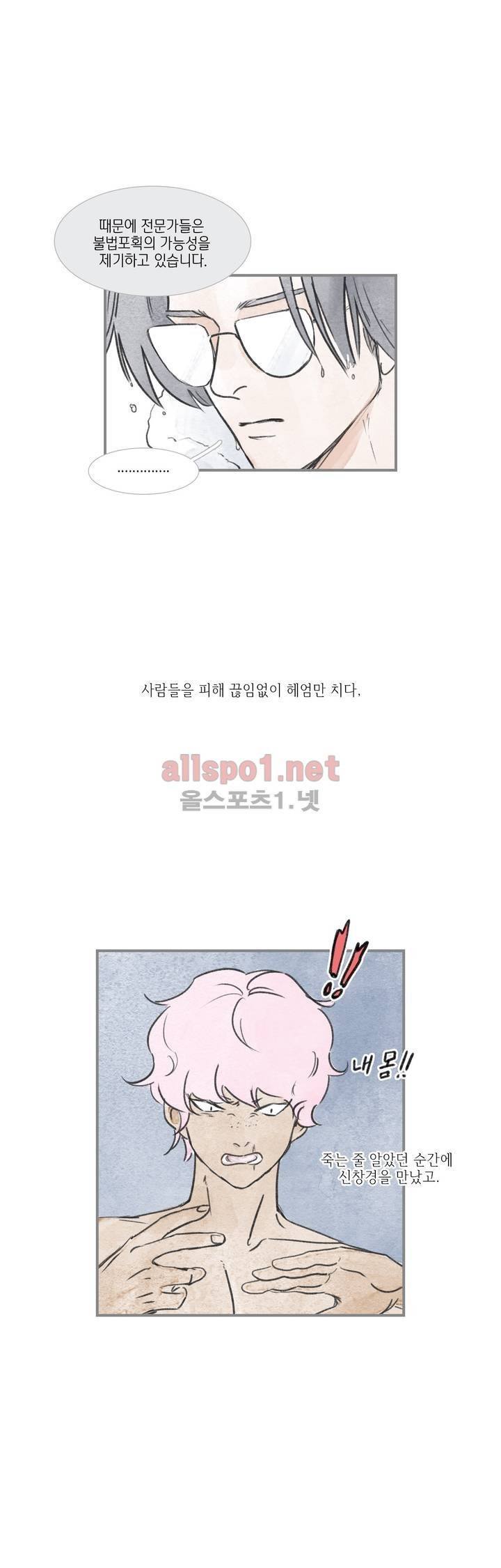 돌핀 요정 68화 4