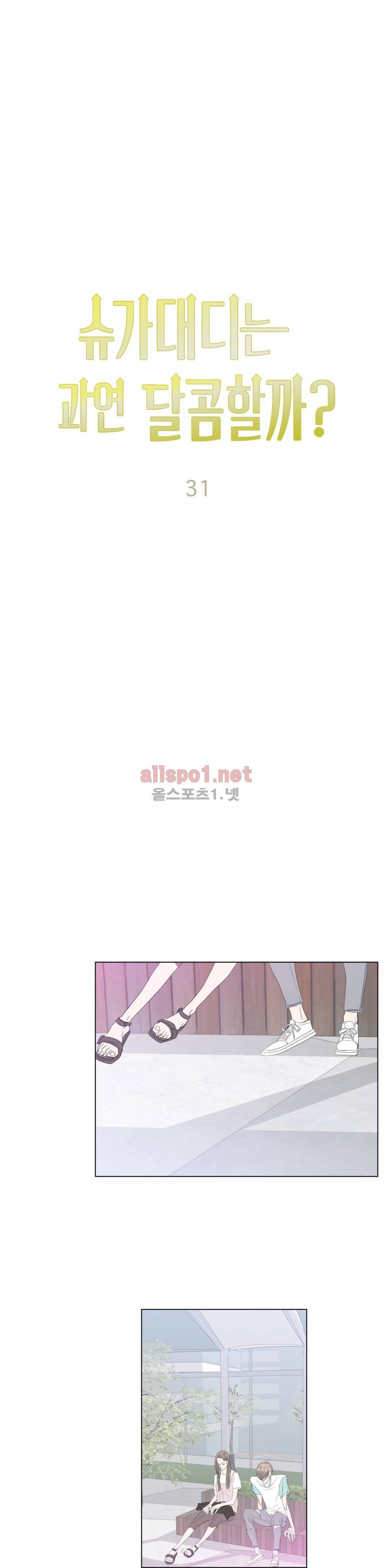 슈가대디는 과연 달콤할까? 31화 8
