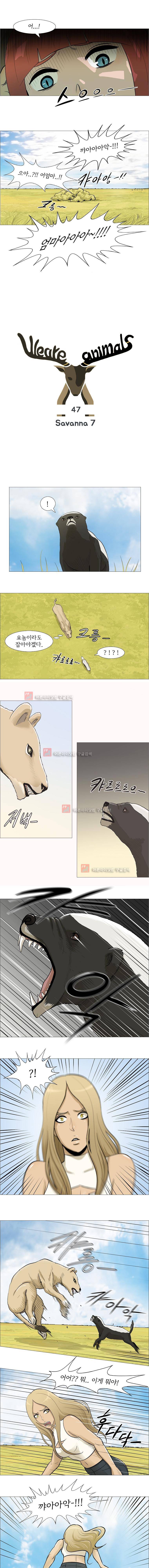위 아 애니멀스 47화 1