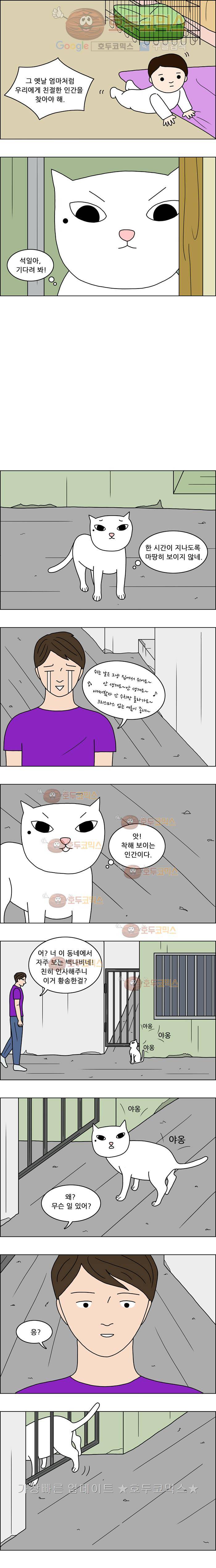쌍갑포차 11화 광어회와 묵은지(3) 2