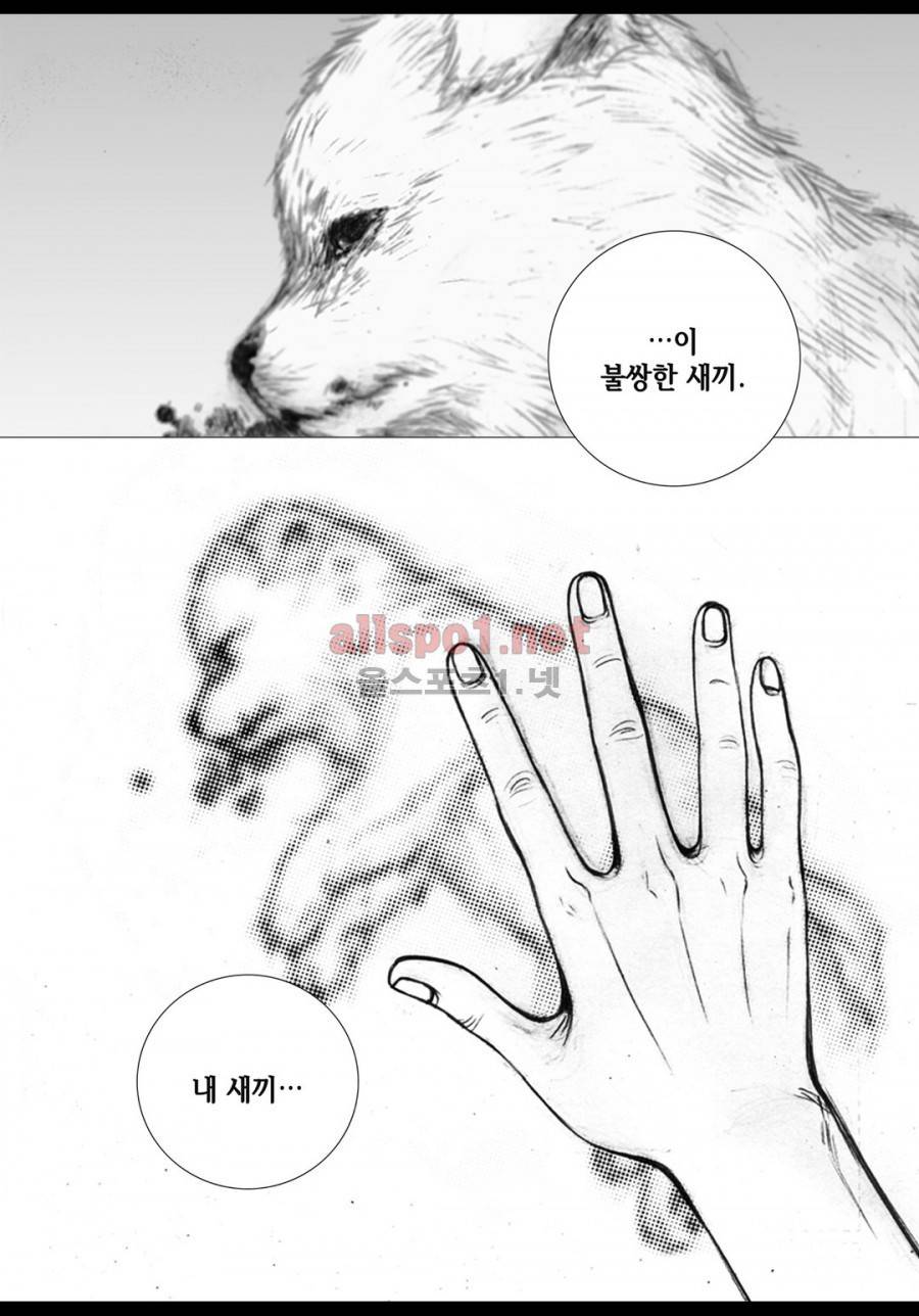 짙은 3화 19