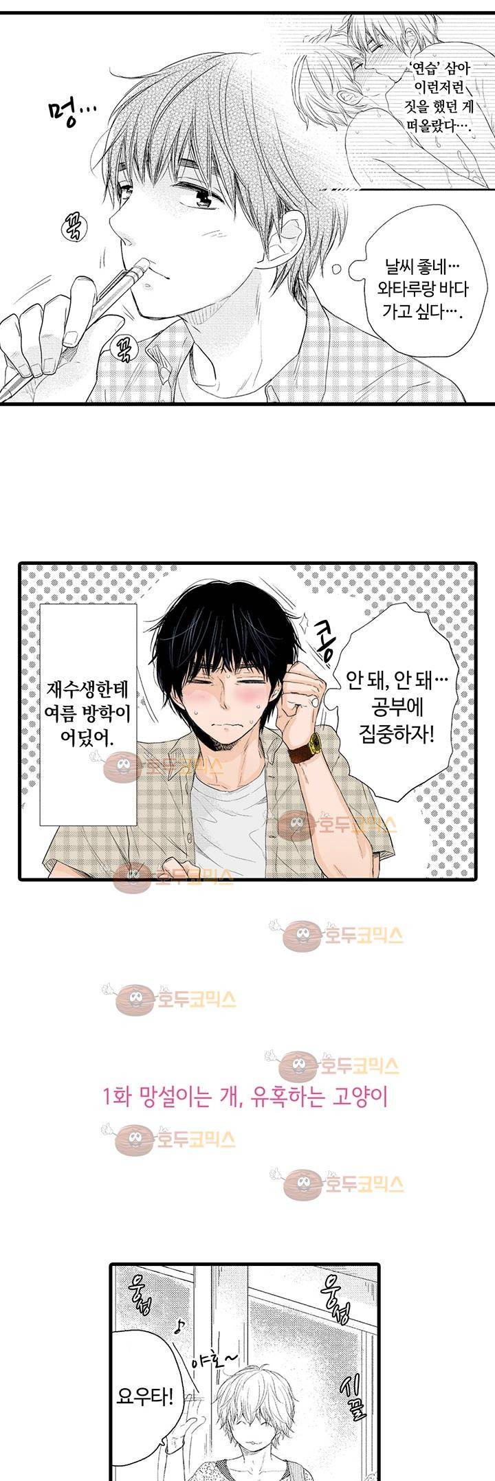 망설이는 개, 유혹하는 고양이 1화 2
