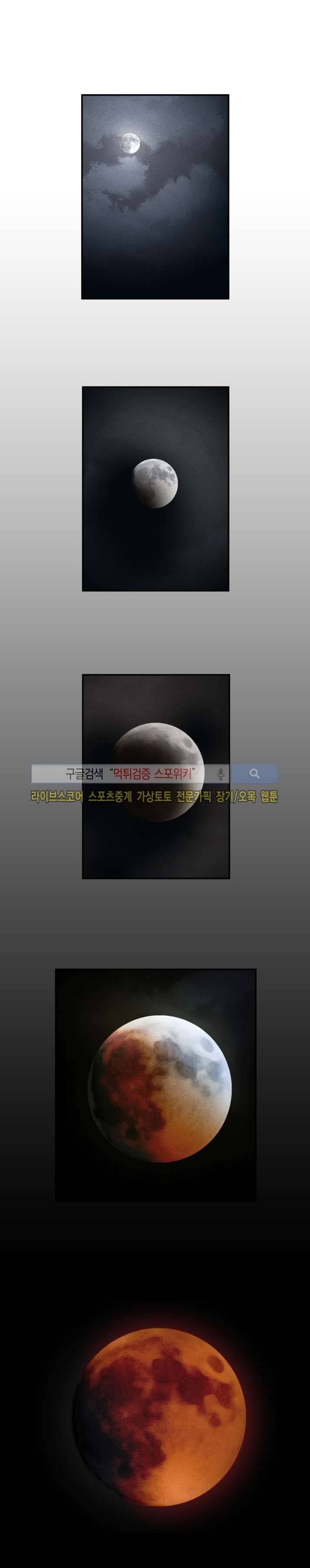 보라 29화 1