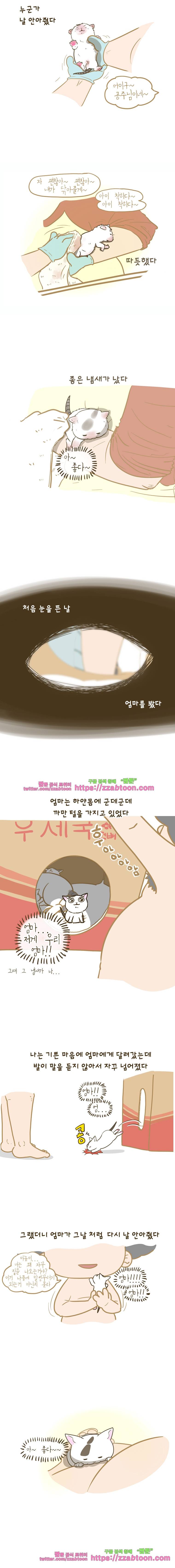 N 어제 오늘 그리고 내일-165화 완두의 일기 2
