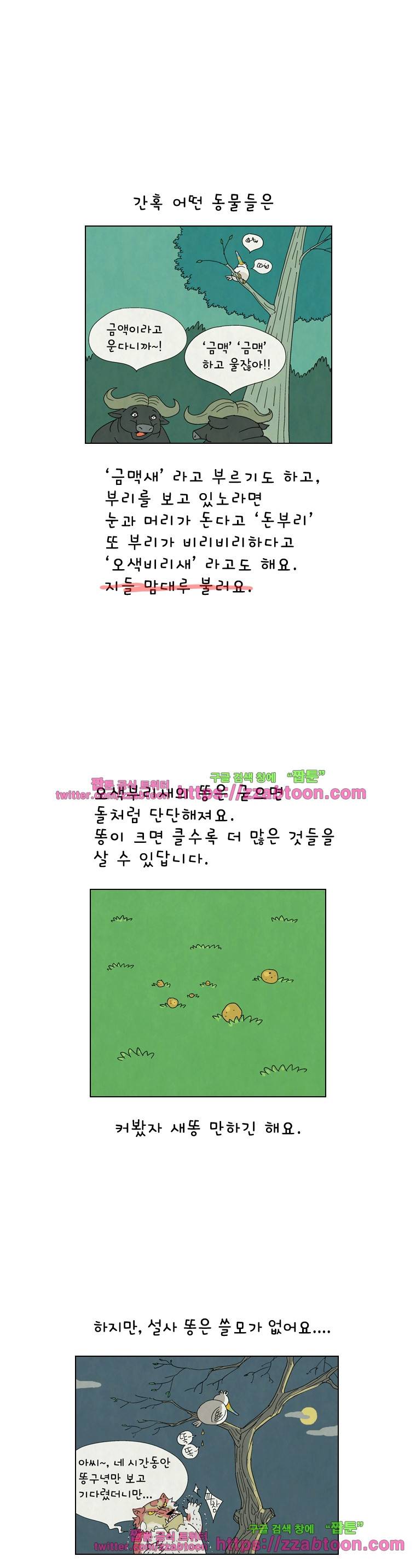 얌얌숲 당근길 토요요 7화. 오색부리새 3
