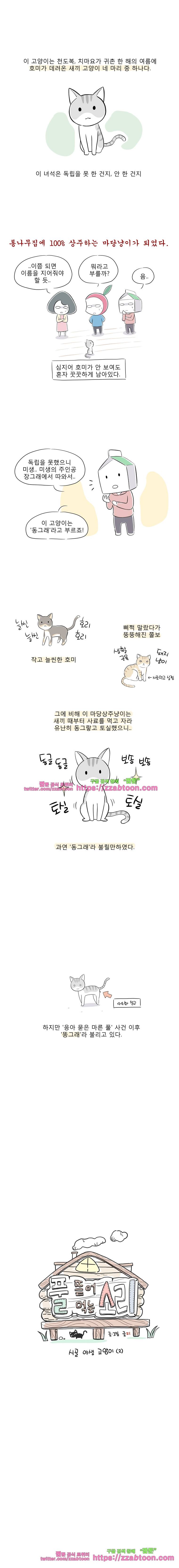 풀 뜯어먹는 소리 54화 시골 야생 고양이 (2) 1