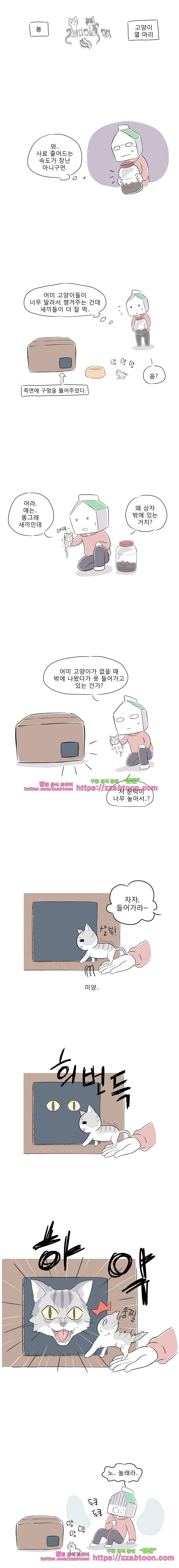 풀 뜯어먹는 소리 54화 시골 야생 고양이 (2) 2