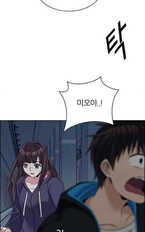 다이스 244화 8