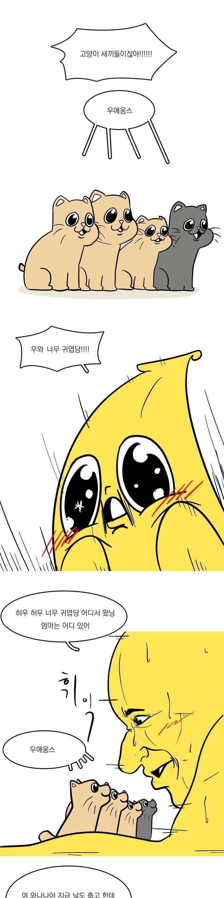바나나툰 43화 2