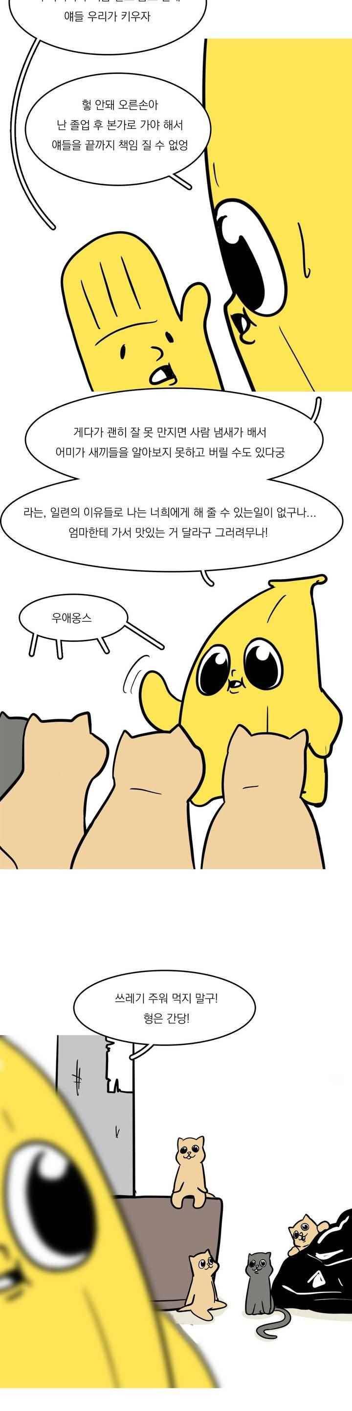 바나나툰 43화 3
