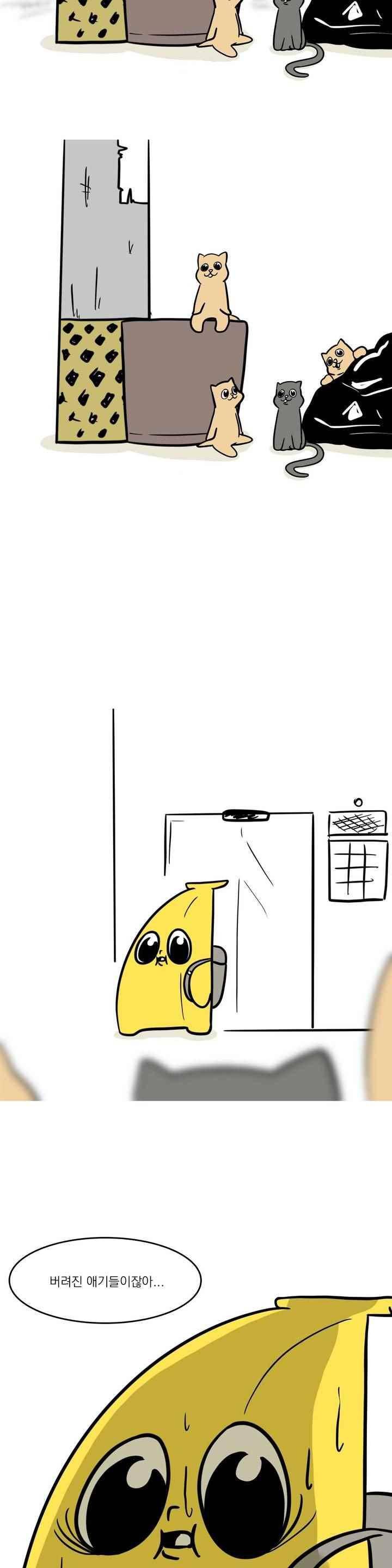 바나나툰 43화 5