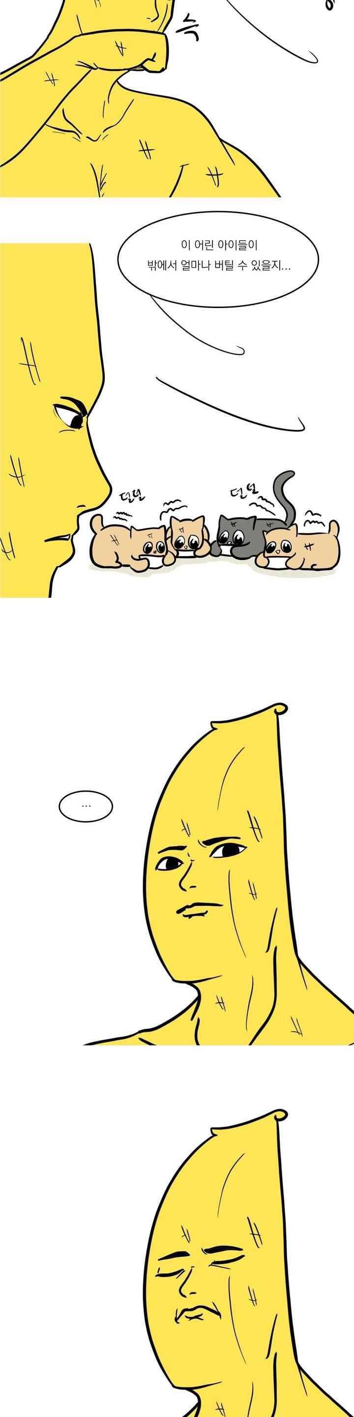 바나나툰 43화 10