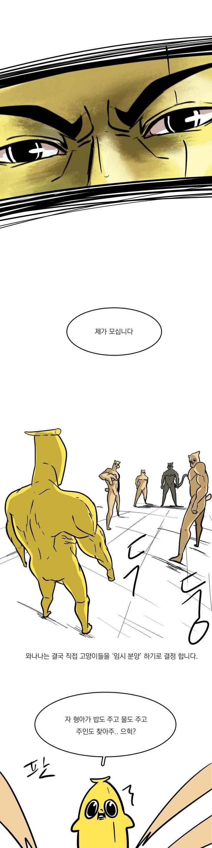 바나나툰 43화 12