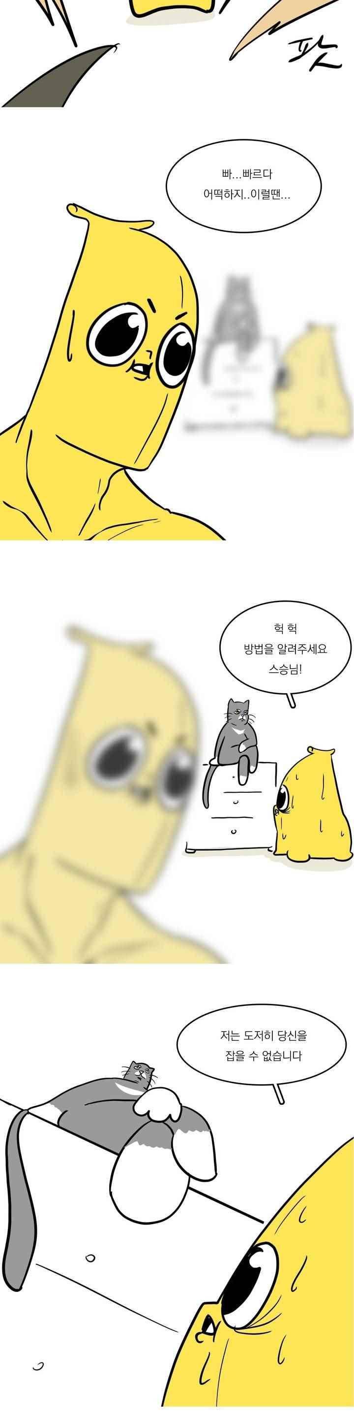 바나나툰 43화 13