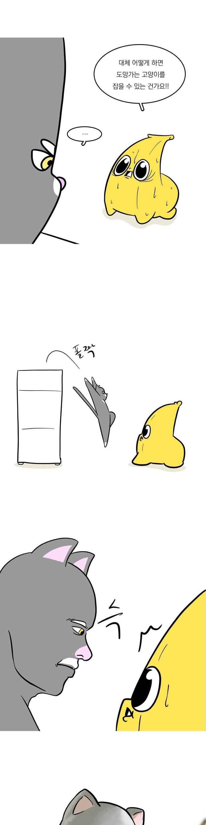 바나나툰 43화 14
