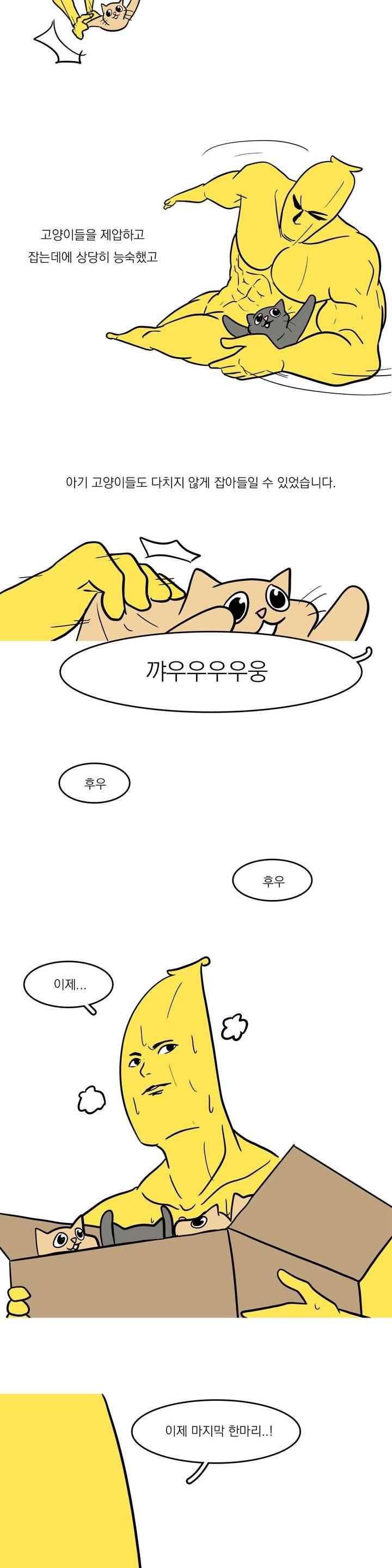 바나나툰 43화 16