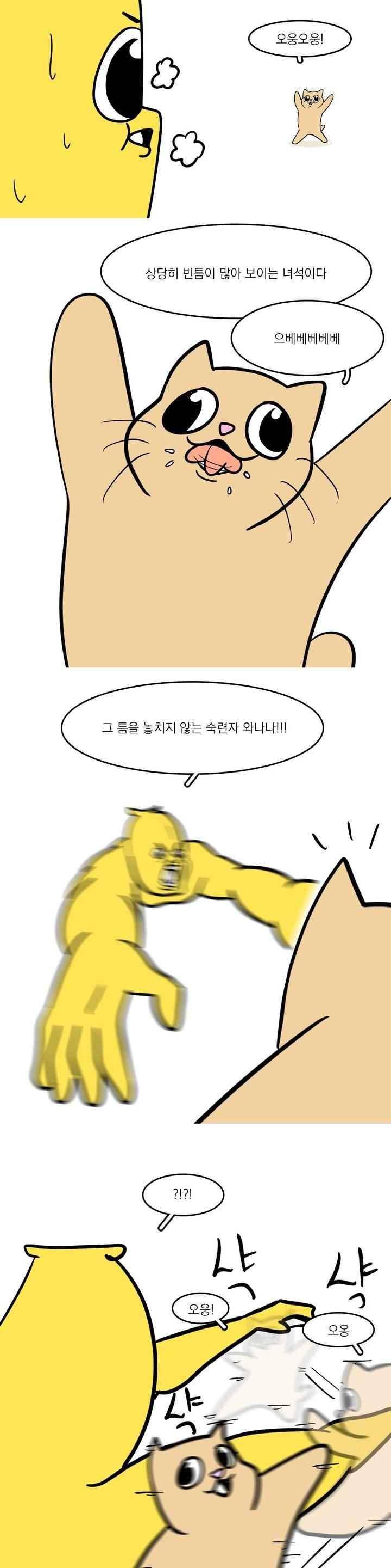 바나나툰 43화 17
