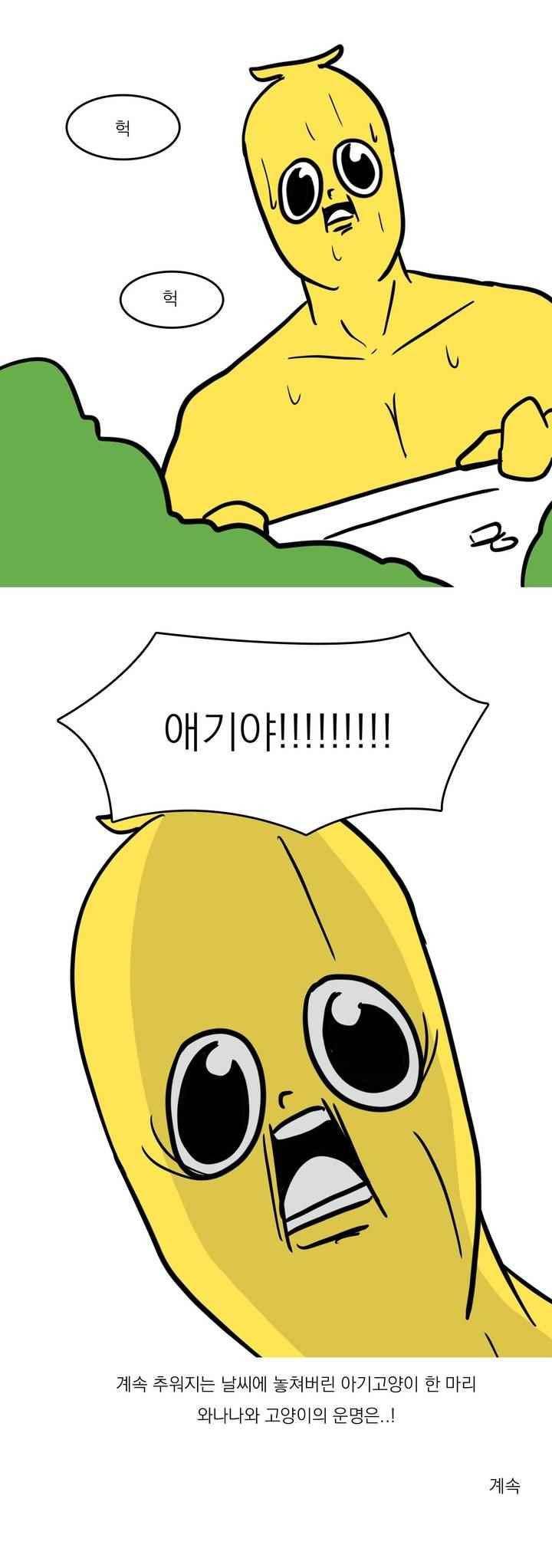 바나나툰 43화 19