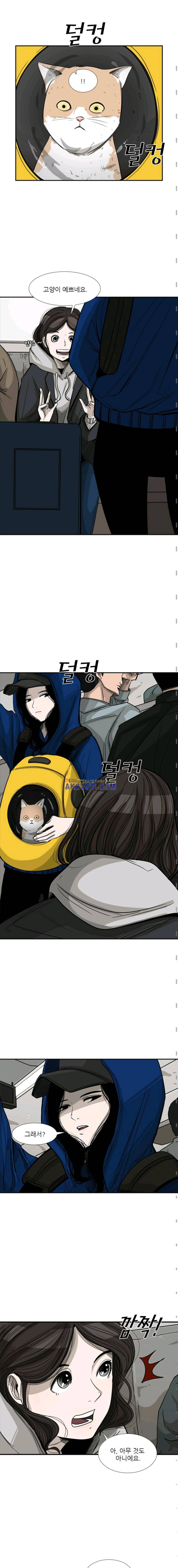 샤크 62화 5