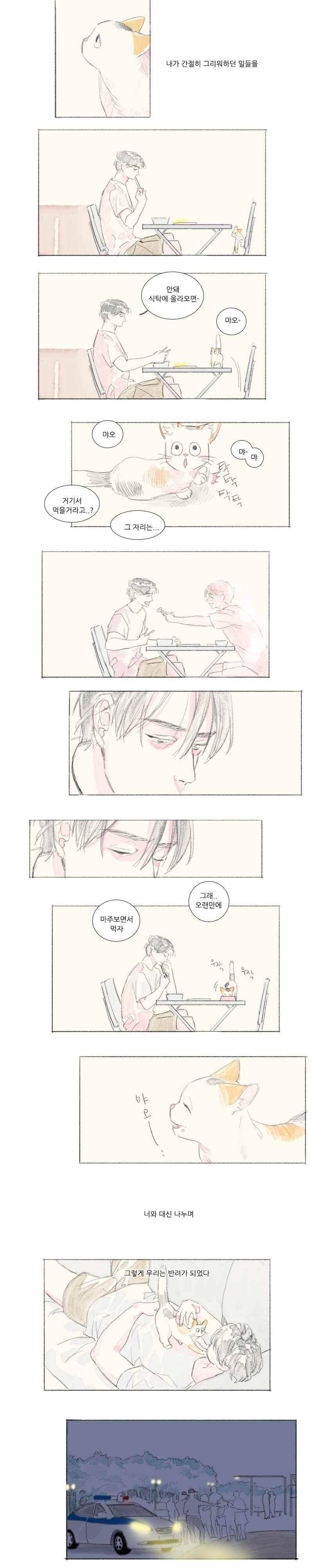 고양소년의 고양한 날 34화 2