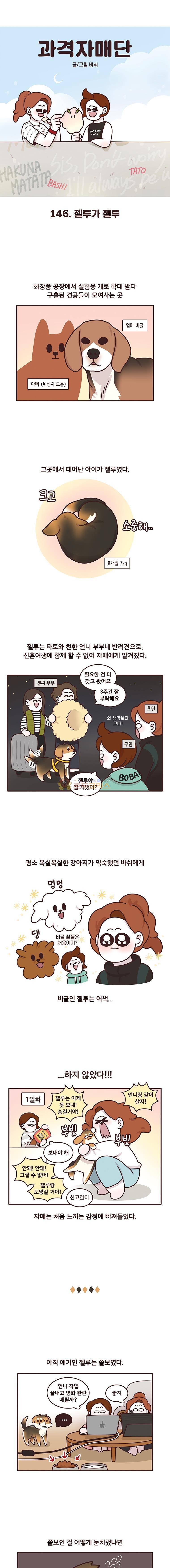 과격자매단 146화 - 젤루가 젤루 1