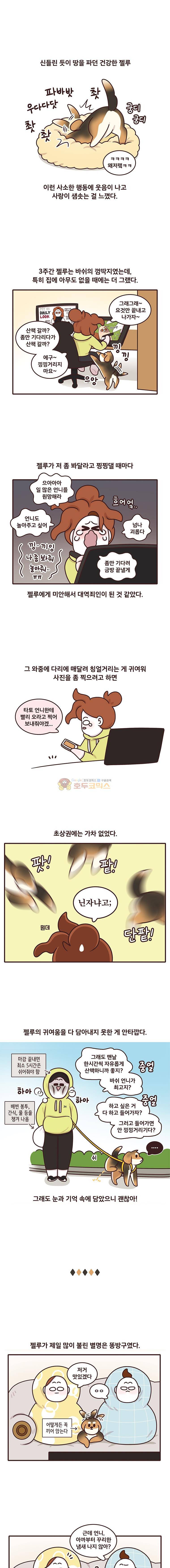 과격자매단 146화 - 젤루가 젤루 3