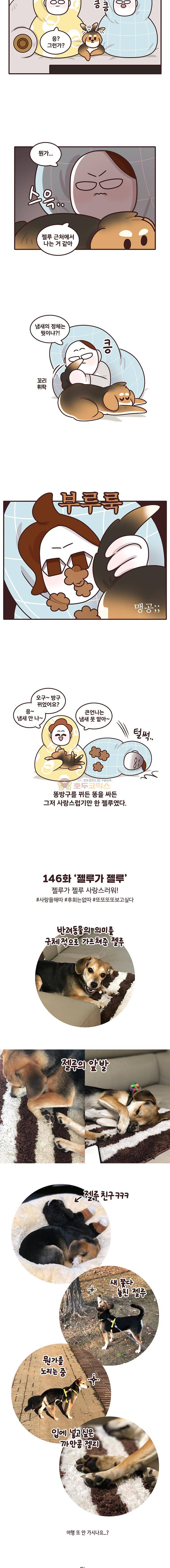 과격자매단 146화 - 젤루가 젤루 4