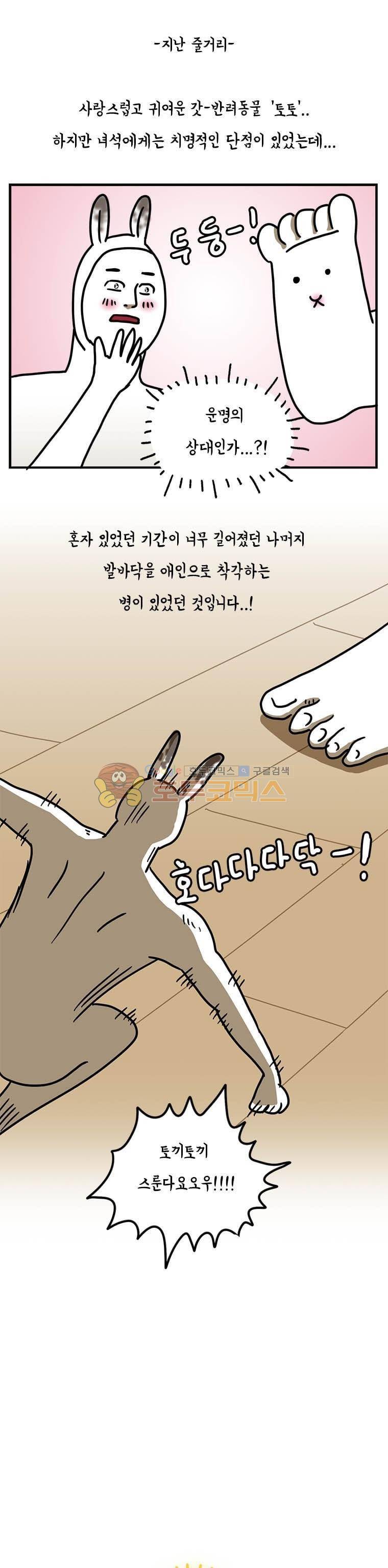 키몽의 호구로운 생활 13화 - 토토 이야기 (2) 1