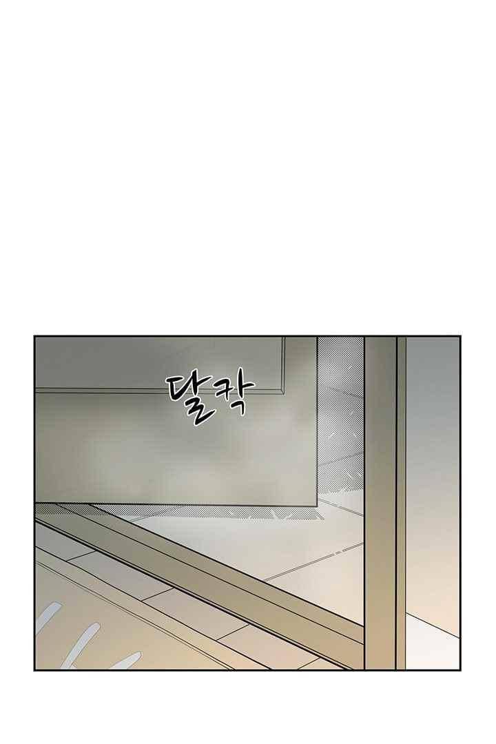 85년생 63화 5
