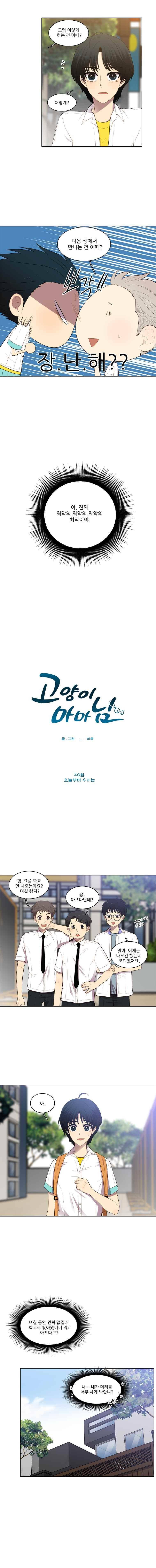 고양이 마마님 40화 2
