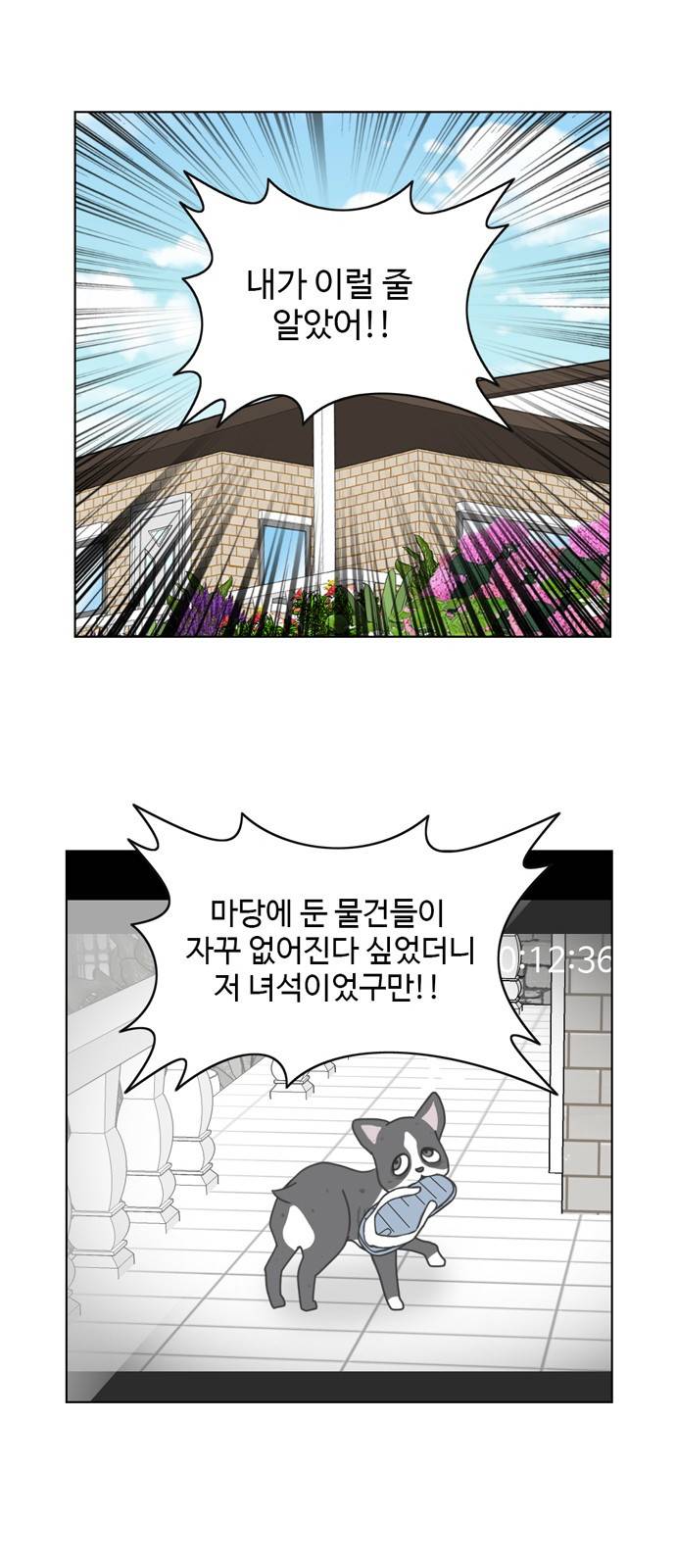 개를 낳았다 18화 1