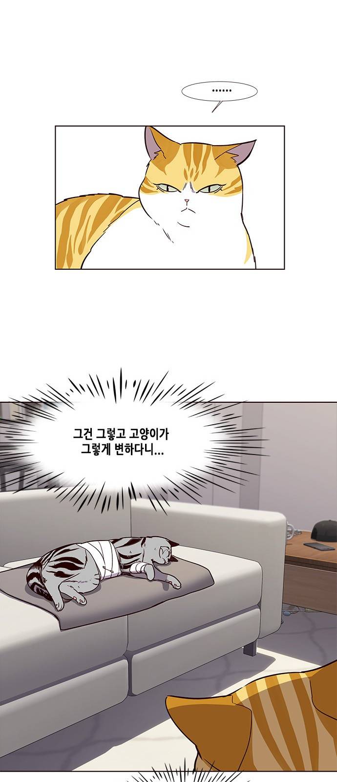 일렉시드 4화 13