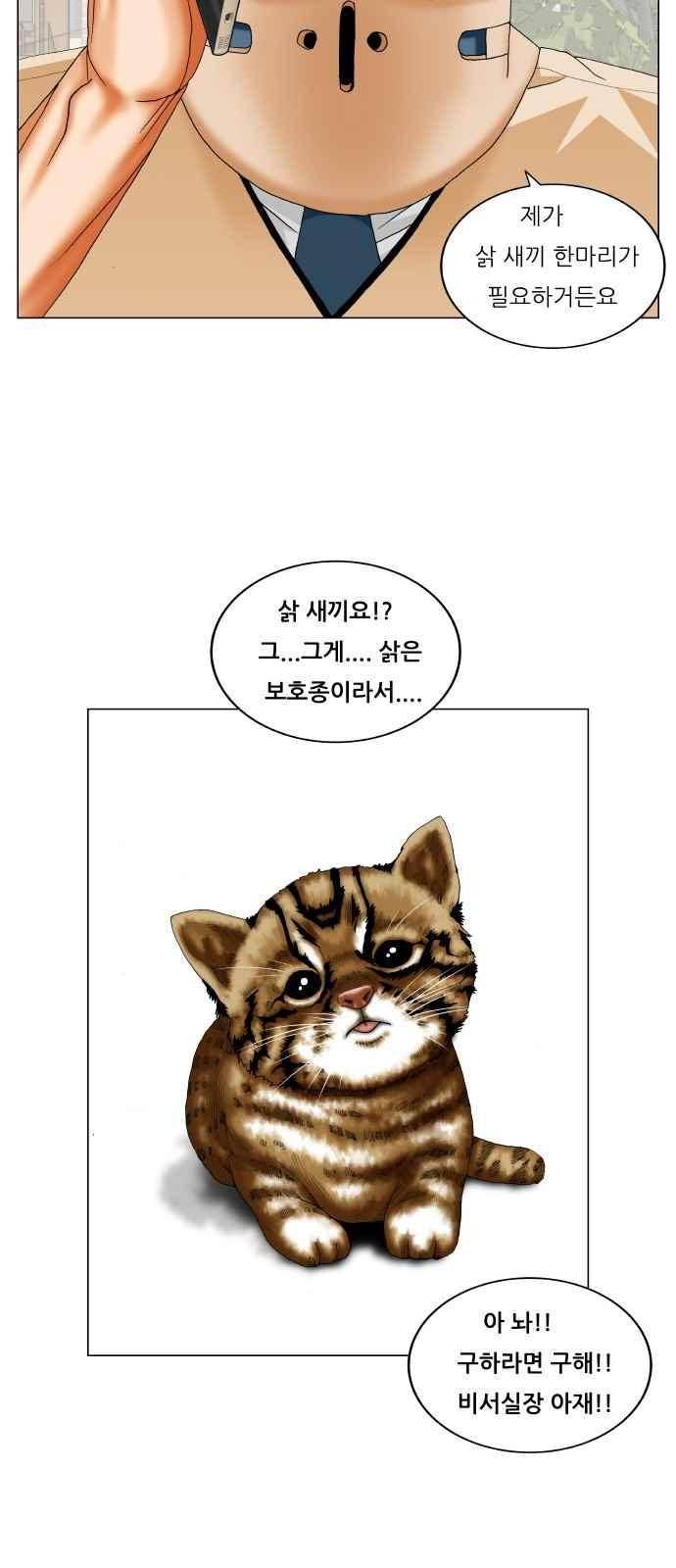 최강전설 강해효 (251) 31