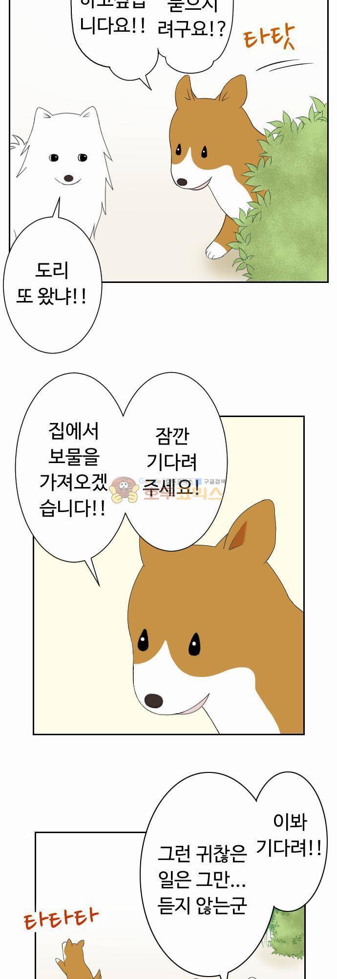 화이트 포메 31화 - 보물 3