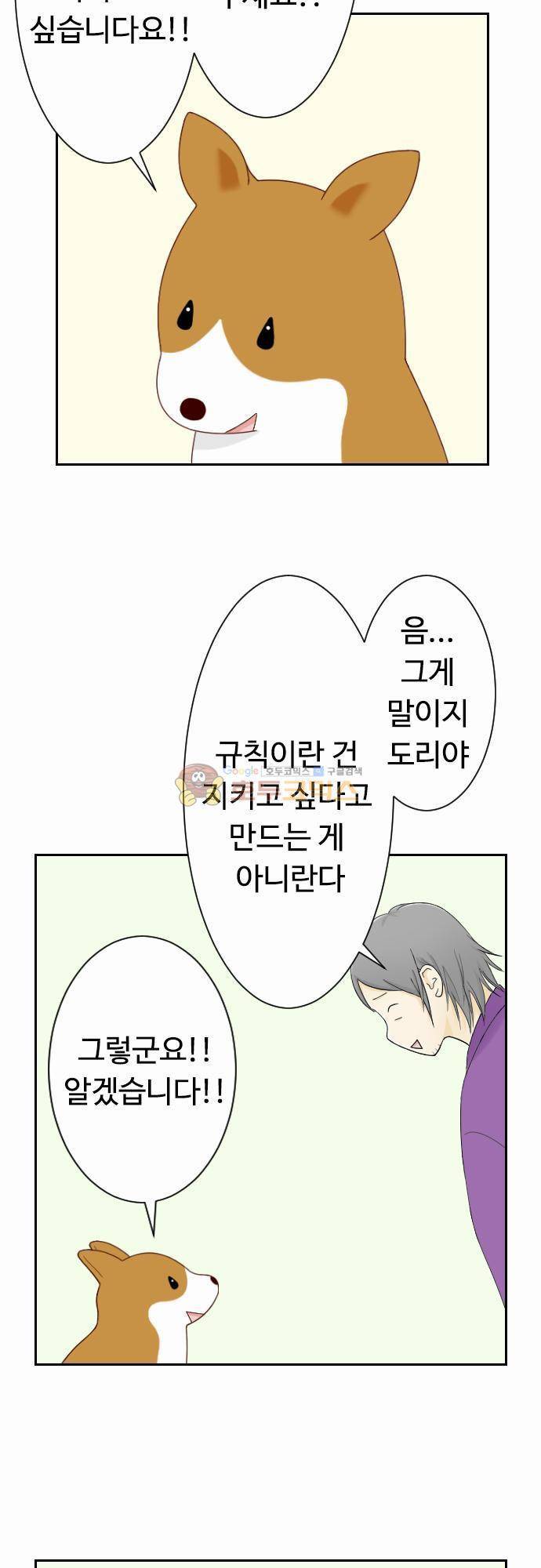 화이트 포메 62화 - 규칙 4