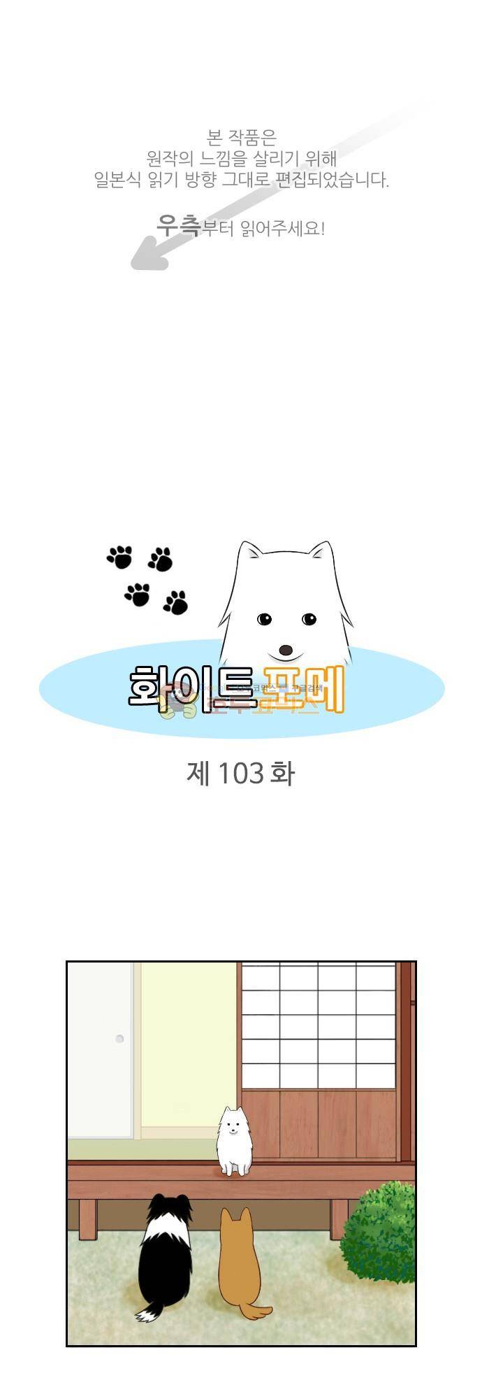 화이트 포메 103화 - 지적질 1